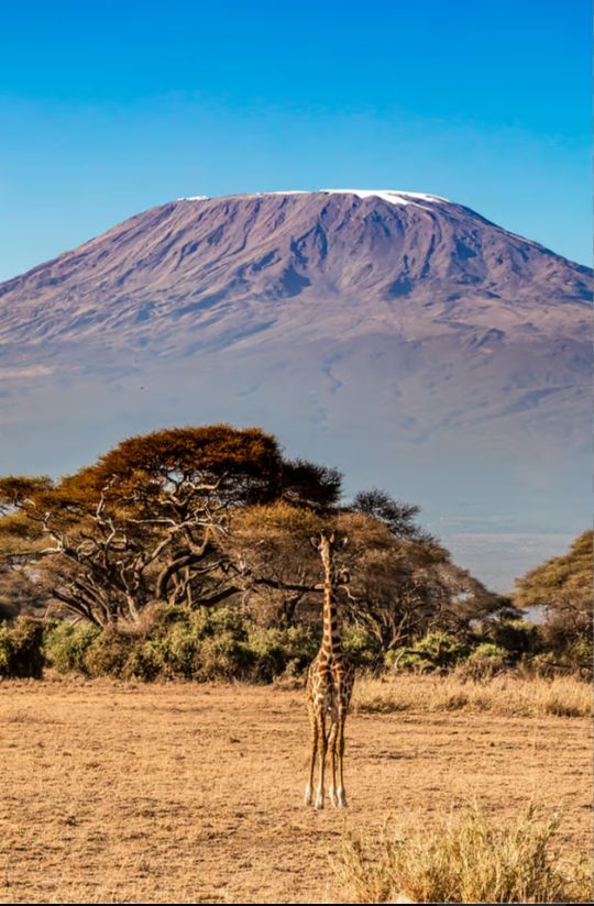 Mount Kenya mountain landscape